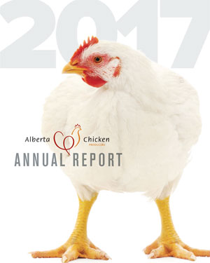 2017-report-cover