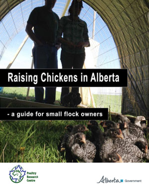 Raising Chickens in Alberta