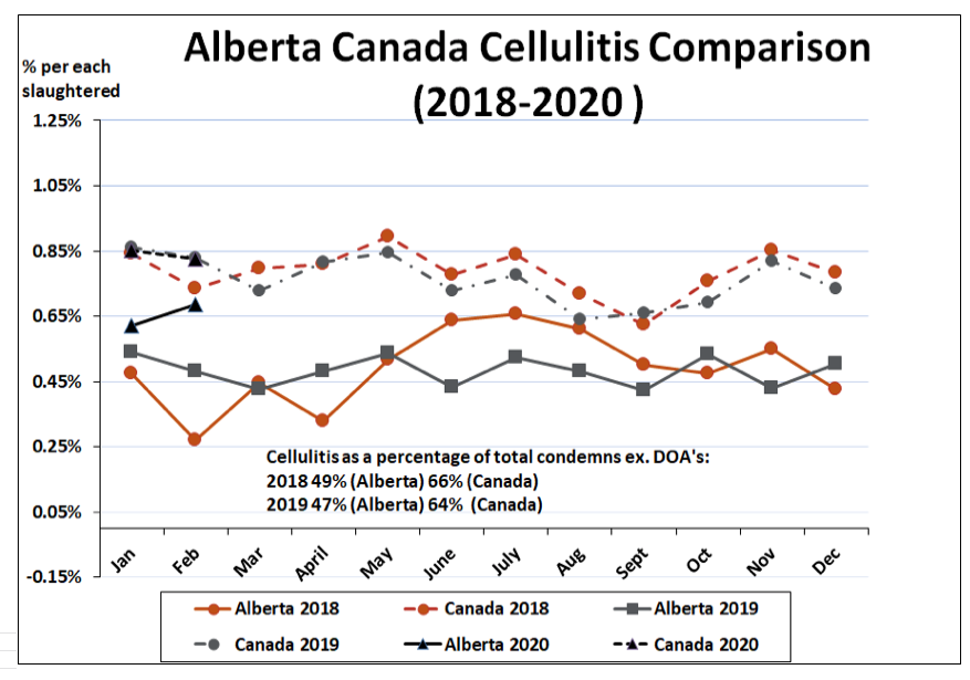 Market Information | Alberta Chicken Producers Recipes and Industry ...